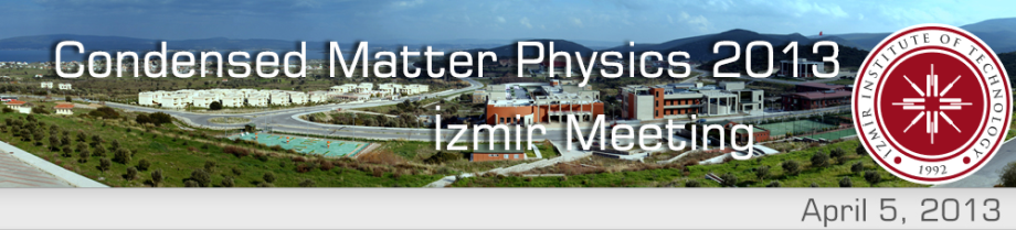 Condensed Matter Physics 2013